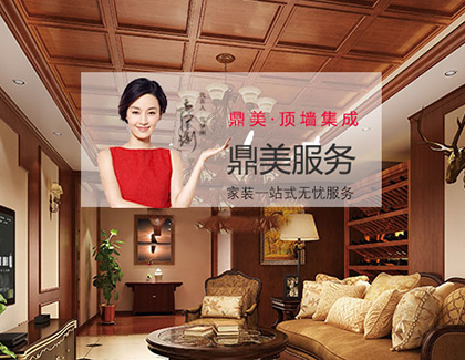 浙江鼎美頂牆集成品牌營銷策劃案